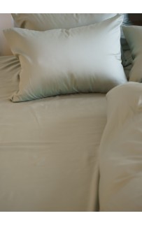 Простыня на резинке Olive Brilliant Grass 160х200х40
