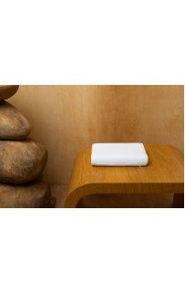 -6 Подушка MEMORY TRAVEL GRASS 38х26х8-6