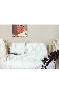 BC-115 Набор BABY COTTON GRASS всесезонное одеяло 100х150 /подушка 40х60