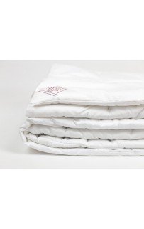 Одеяло BAMBOO GRASS всесезонное 150х200