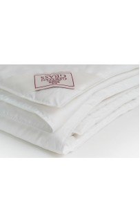 Одеяло LUXURY SILK GRASS легкое 160х220