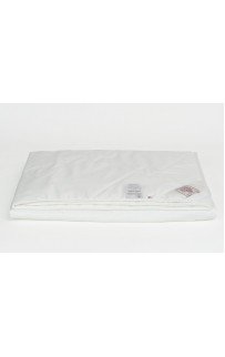 FB-3241 Одеяло BAMBOO FAMILIE BIO легкое 200х220