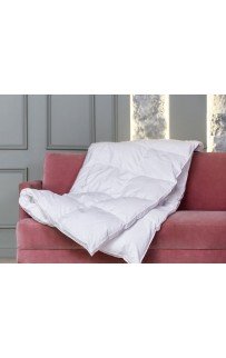 FD-1260 Одеяло WHITE FAMILIE DOWN всесезонное с бортиком 260х240