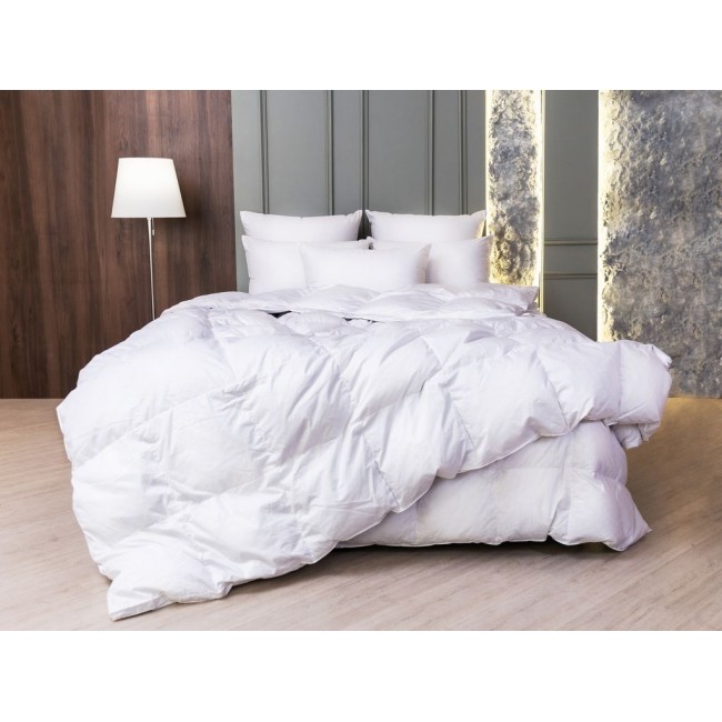 FD-1270 Одеяло WHITE FAMILIE DOWN всесезонное с бортиком 160х220