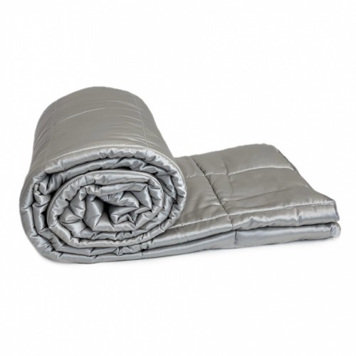 Одеяло Sarev ELITE GROUP "OPHELIA" шелк евро О 920 v2 bej/серебристый