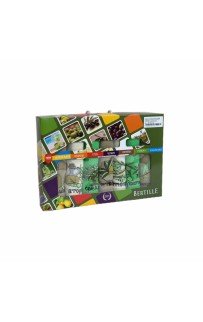 Набор полотенец кухонный NILTEKS "НЕДЕЛЬКА ОЛИВА"вафля 40*60 7 шт.НМ 765 v4 крем/беж/зелен