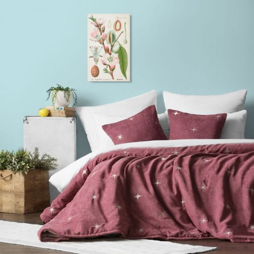 Покрывало с наволочками "Бэлли" PASIONARIA