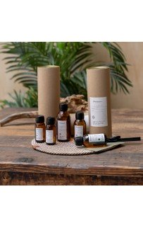 Диффузор "Ель" PASIONARIA