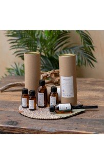 Диффузор "Сандал" PASIONARIA