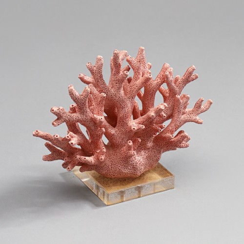 Коралл №3 Декор 19х8х15см Sofi De MarkO