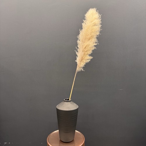 Пампасная трава (крем) 140-150см Sofi De MarkO