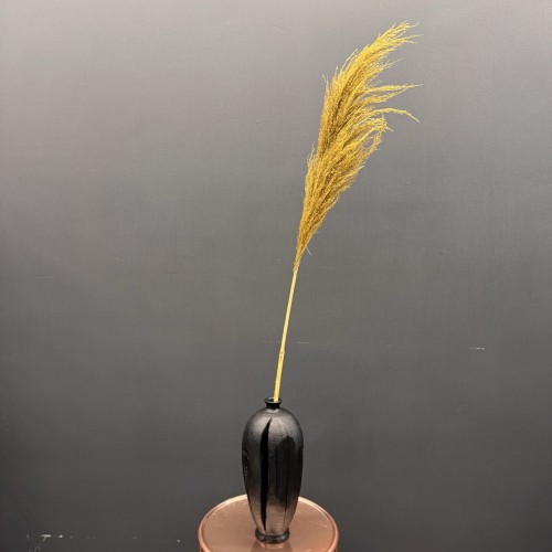 Пампасная трава (олива) 130-140см Sofi De MarkO