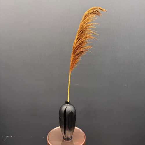 Пампасная трава (кофе) 130-140см Sofi De MarkO