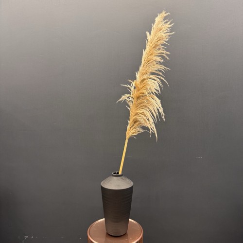 Пампасная трава (беж) 130-140см Sofi De MarkO