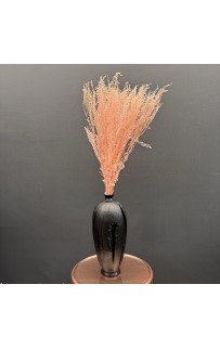 Сухоцвет-ветка (крем) 60-75см Sofi De MarkO