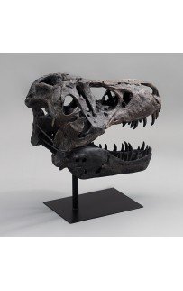 Рекс Декор 49х29х50см Sofi De MarkO Рекс Декор 49х29х50см Sofi De MarkO