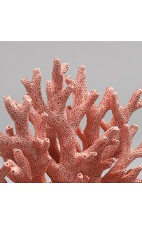 Коралл №3 Декор 19х8х15см Sofi De MarkO