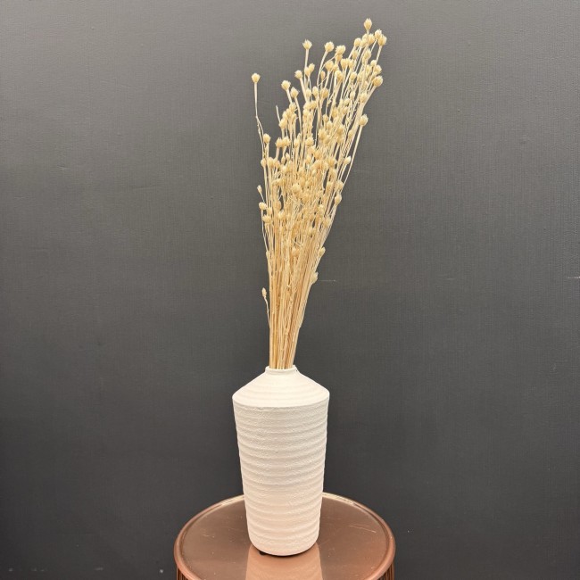 Сухоцвет-ветка (крем) 70-80см Sofi De MarkO