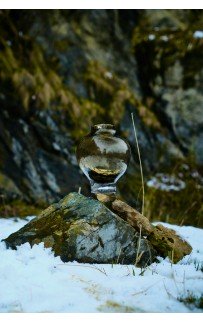 Мидори Ваза Стеклянная 31.5х23х29см Sofi De MarkO