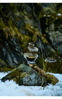 Мидори Ваза Стеклянная 31.5х23х29см Sofi De MarkO