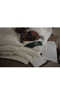 Подушка Anna Flaum Herbst 50х70, мягкая