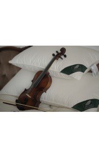 Подушка Anna Flaum Herbst 50х70, мягкая