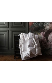 Одеяло GRAND DOWN GRASS теплое 160х220