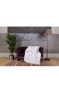 Одеяло BAMBOO GRASS легкое 160х220
