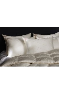 Одеяло "ЭЙДАР" с пухом арктичекой гаги в шелковом жаккарде, легкое 200x220, GERMAN GRASS