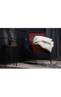 Одеяло из пуха гаги EXCLUSIVE SILK EIDER DOWN всесезонное "Light" 200х220