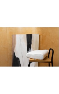 -10 Подушка MEMORY MASSAGE GRASS 60х40х12-10