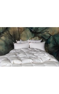 Одеяло ROYAL DOWN GRASS теплое 160х220