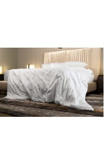 Одеяло PAISLEY SILK GRASS легкое 150х200