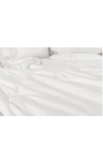 Одеяло PAISLEY SILK GRASS легкое 150х200