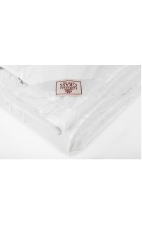 Одеяло SILVER DOWN GRASS всесезонное 160х220