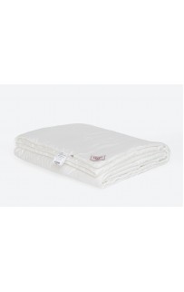 Одеяло DOUBLE TENCEL GRASS легкое 260х240