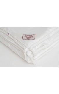 Одеяло ALLIANCE TENCEL GRASS легкое 240х220