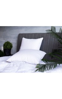 FDN-02220 Подушка GRAY FAMILIE DOWN средняя 68х68