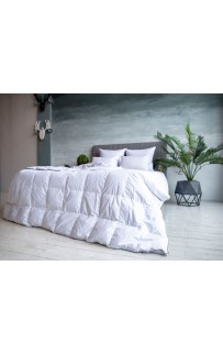 FDN-02282 Одеяло GRAY FAMILIE DOWN всесезонное 240х220
