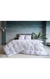 FDN02242 Одеяло GRAY FAMILIE DOWN всесезонное 200х220