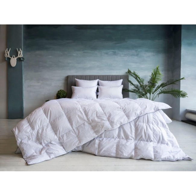 FDN02272 Одеяло GRAY FAMILIE DOWN всесезонное 160х220