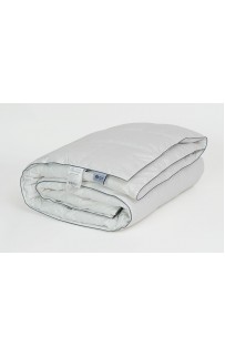FDN02272 Одеяло GRAY FAMILIE DOWN всесезонное 160х220