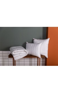 FSN09280 Одеяло PREMIUM FAMILIE NON-ALERGENIC всесезонное 240х220