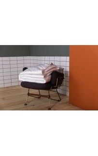 FSN09290 Одеяло PREMIUM FAMILIE NON-ALERGENIC всесезонное 200х200