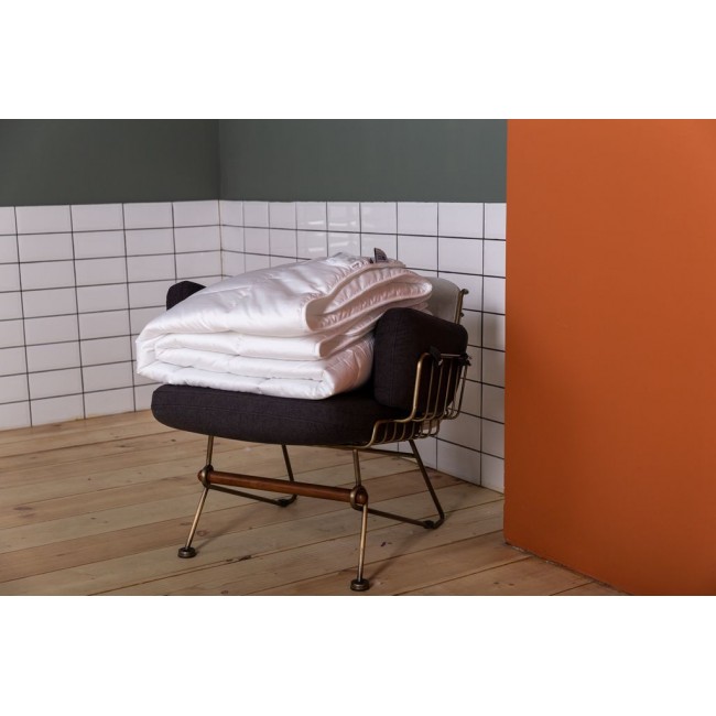 FSN09290 Одеяло PREMIUM FAMILIE NON-ALERGENIC всесезонное 200х200