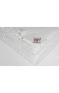 FSN09290 Одеяло PREMIUM FAMILIE NON-ALERGENIC всесезонное 200х200