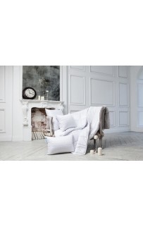 FWN06420 Подушка CAMEL FAMILIE WOOL регулируемая 68х68