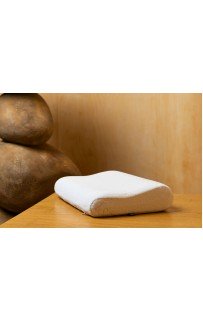 -6 Подушка MEMORY TRAVEL GRASS 38х26х8-6