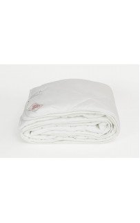 FC-1080 Наматрасник MATTRESS BAMBOO FAMILIE BIO легкий 180х200