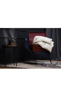 Одеяло из пуха гаги EXCLUSIVE SILK EIDER DOWN всесезонное "Light" 240х220